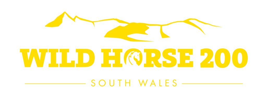 wildhorse_southwales_transparent_yellow